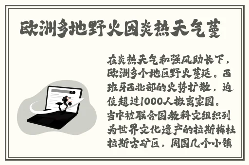 公交车程雪柔